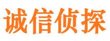 咸安侦探公司